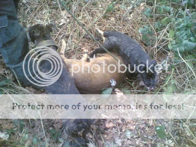 Pic906.jpg