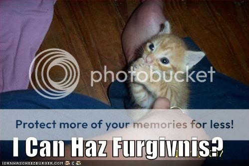 http://i531.photobucket.com/albums/dd358/cynthi_07/funny-pictures-orange-kitten-wants-.jpg