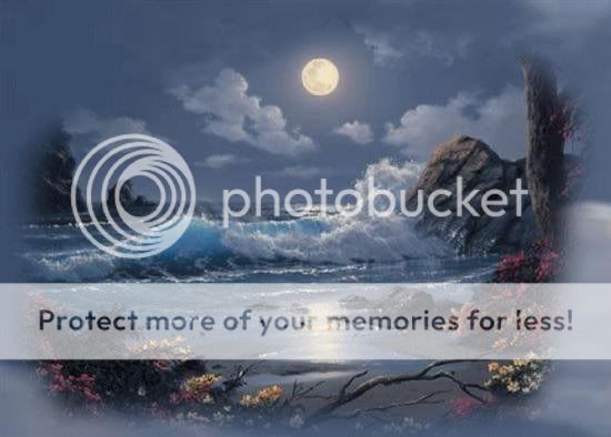 Evening glory ... Pictures, Images and Photos