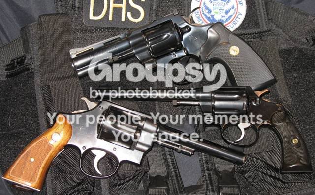 Only The Beginning | Colt Forum